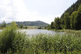 Ein sch&ouml;ner Vormittag am See