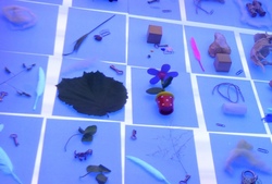 Fotoworkshop: magische Bilder und vergessene Techniken