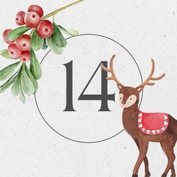 Türchen Nr. 14 – Weihnachten für Wildvögel to go