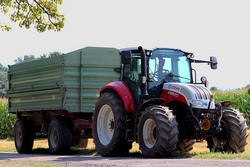 Werl-Projekt: Altpapiersammlung der Katholischen Messdienergruppe Ense-Niederense