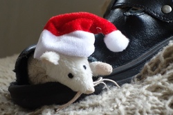 Waldsafari für Kinder von 5 - 8 Jahren