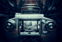 Werl-Projekt: Film ab!