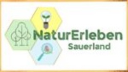 NaturErleben Sauerland - Waldschatzsuche