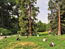 Pfingstferien mit der Gr&uuml;nen Schule Mainau
