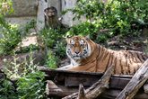Tagesfahrt in den Zoo Leipzig