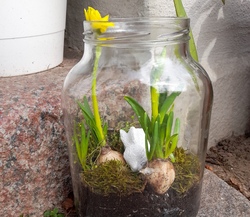 Fr&uuml;hlingsgarten im Glas