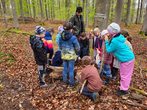 Auf den Spuren der Tiere &ndash; Natur entdecken mit allen Sinnen