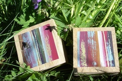 Kunterbunte Stoffwerkstatt - K&ouml;nigsdorfer Pfingsttage