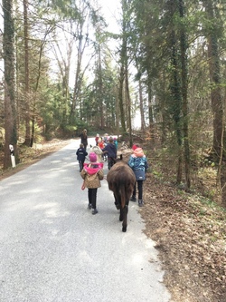 Eseltrekking - K&ouml;nigsdorfer Pfingsttage