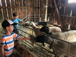 Naturerlebniswoche Gm&uuml;nder Hof