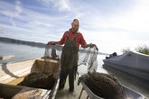 Fischer Riebel fischt frische Fische 5