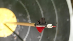 Ganztagbetreuung, Waldtag & Bogenschie&szlig;en