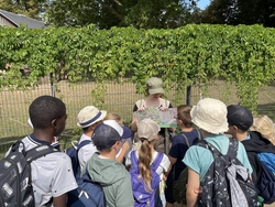 Ferienbetreuung Sommer [2. Woche] Anmeldeschluss 28.06.2026