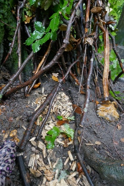 LandArt- Feen und Zwerge