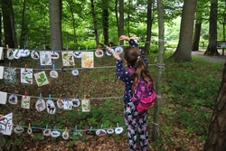 Ferienaktion: Werde ein*e Wald-Detektiv*in