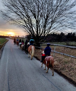 Ausflug auf den Ponyhof (Faschingsferien)