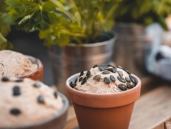 Backwerkstatt: Brot im Blumentopf