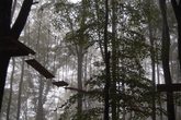 Besuch im Kletterwald