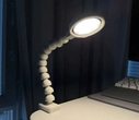 Print your Light - Designe, drucke und baue deine eigene Tischlampe