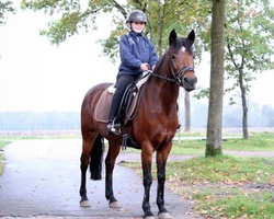 Das Gl&uuml;ck der Kinder liegt auf dem R&uuml;cken der Pferde - Eins sein mit dem Pferd