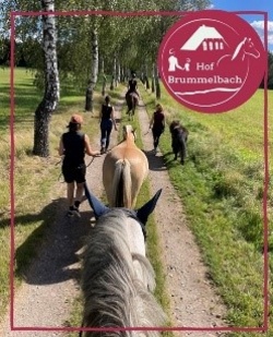 Ein Tag auf dem Pferdehof