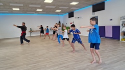 Viet Vo Dao f&uuml;r Kids - Kampfsportaction wie im Film
