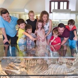 Museum f&uuml;r Franken: Ostersonntag und Ostermontag ge&ouml;ffnet!