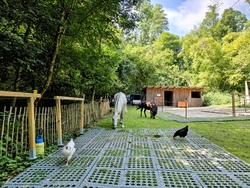 Ponywoche im Ponygarten 