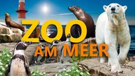 Zoo am Meer Bremerhaven