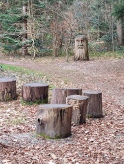 Die total verr&uuml;ckte Kugelbahn