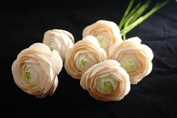 Durch die Blume gesagt