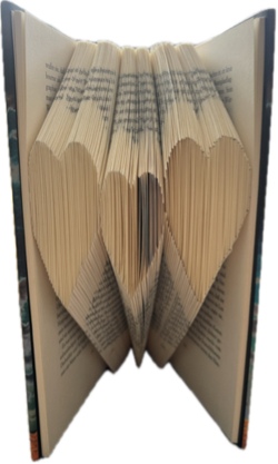 Buchfalten (Orimoto) 