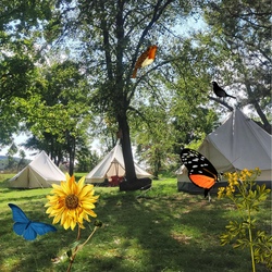 Umweltdetektive Zeltlager 2026