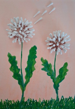 Pusteblumen