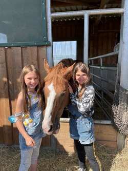 Ferienwoche rund ums Pony (I)