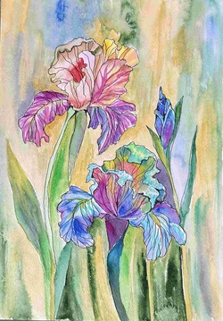 Iris