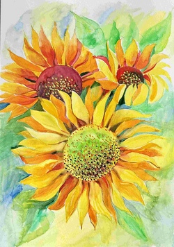 Sonnenblumen