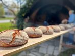 Brotbacken beim OGV Heng