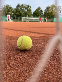 Freundetag bei der SV DJK Eggolsheim Abt. Tennis