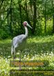 Ausflug ins Vivarium nach Darmstadt