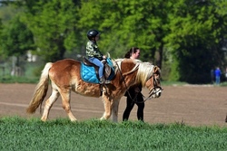 Kindertag auf dem Reiterhof IV