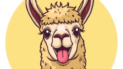 Ausflug zur Alpaka-Farm