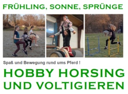 Fr&uuml;hling, Sonne, Spr&uuml;nge &ndash; Hobby Horsing und Voltigieren im Reitverein