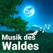 Die Musik des Waldes