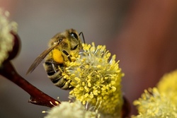 PfingstFerienSpa&szlig; 2026