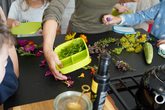 Spiel & Bewegung trifft Kr&auml;uterk&uuml;che