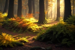 Naturerleben im Wald