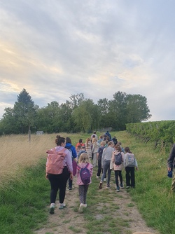 Nachtwanderung in der Natur - Veranstalter: LBV Dettelbach