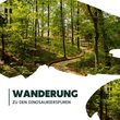 Wanderung zu den Dinosaurierspuren