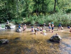 Flusswanderung durch die Aist